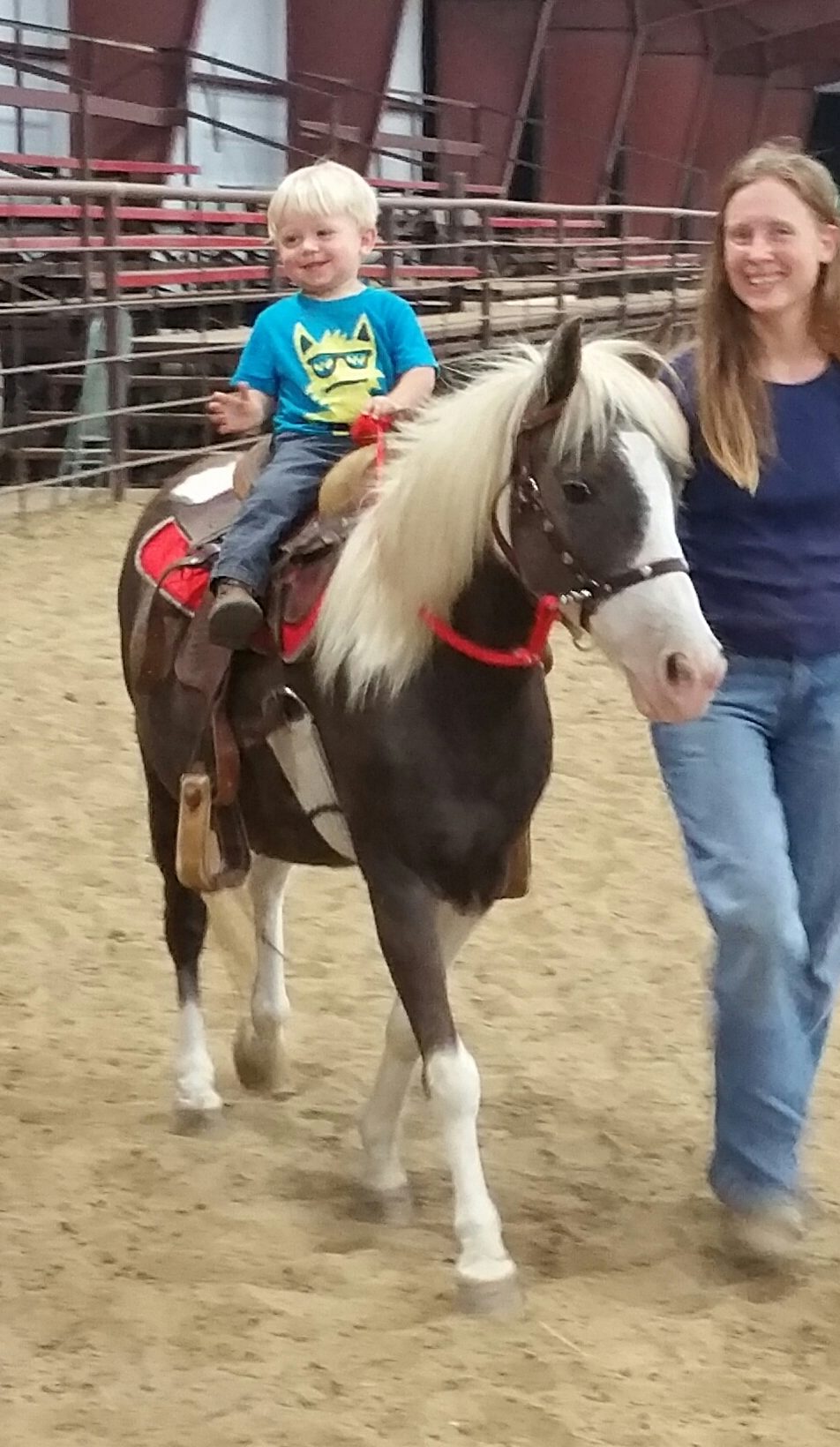 20160923_203938 1 e1776211182121