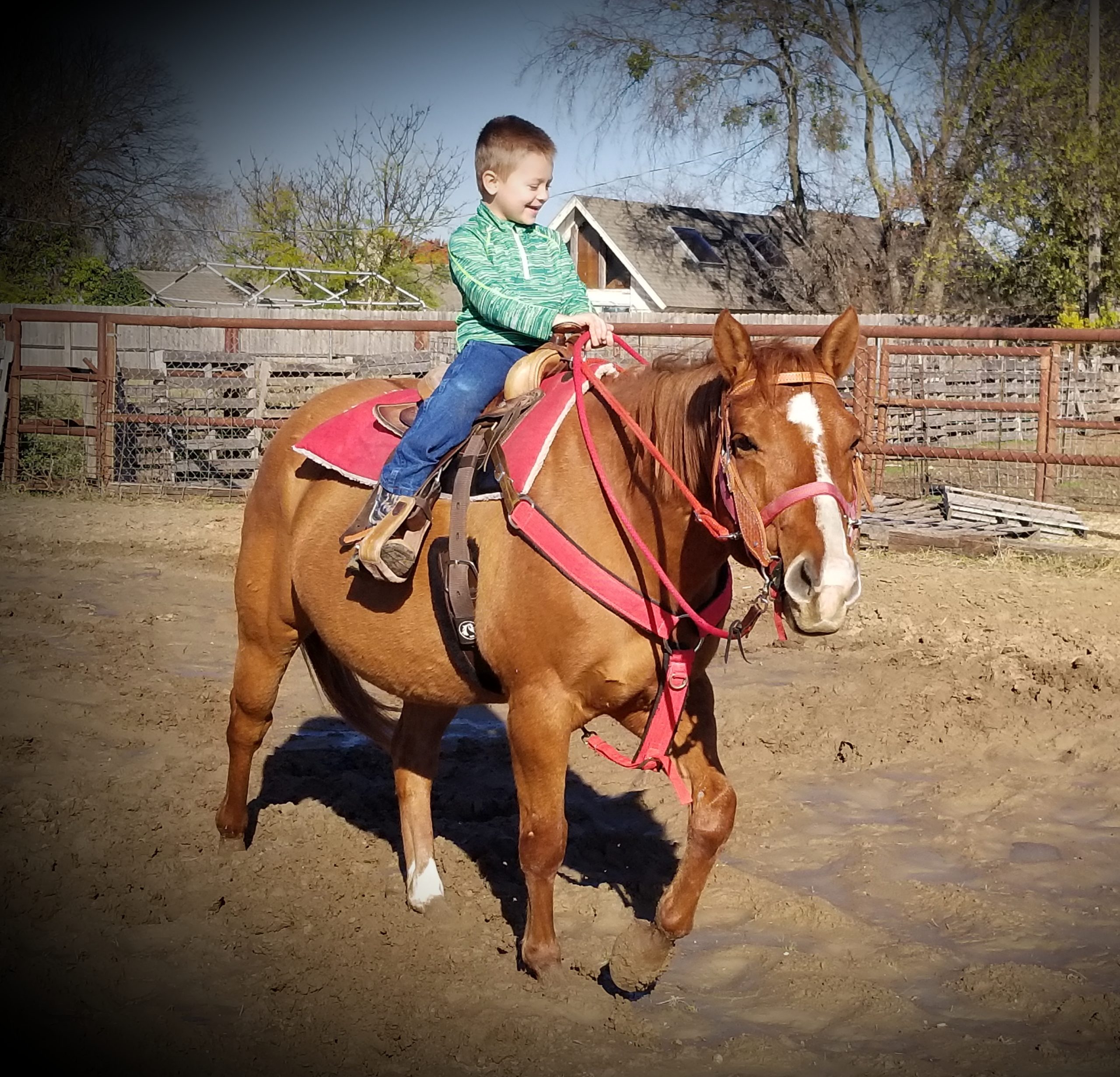 20211201_174149 scaled