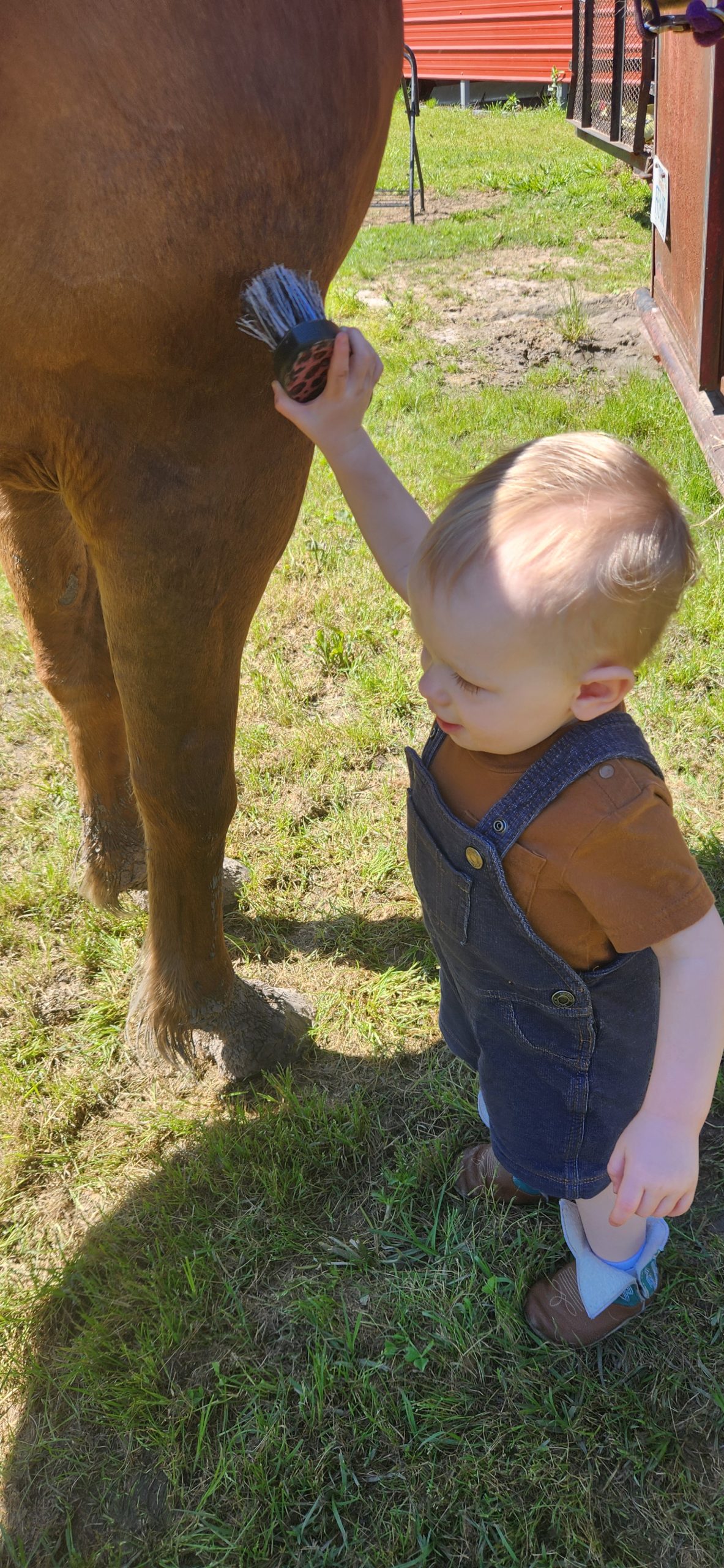 20240405_114032 scaled