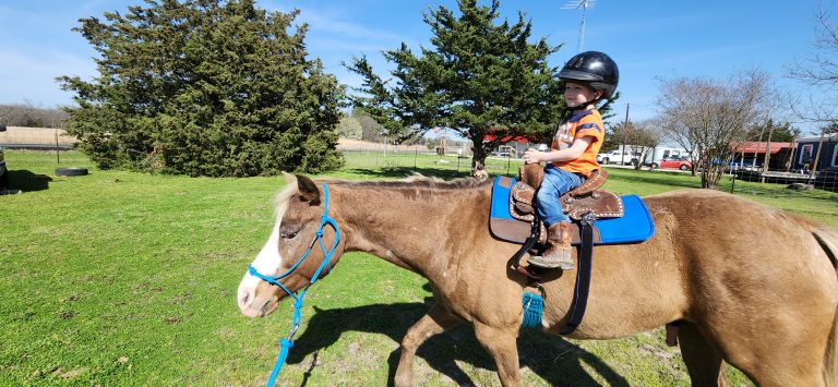 Young rider in a helmet on a lead-line horse at a party on the grass